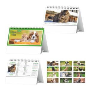 Cani e gatti – Calendario da tavolo cm 19×14,5 CT0003 Cani e gatti - Calendario da tavolo cm 19x14,5 CT0003