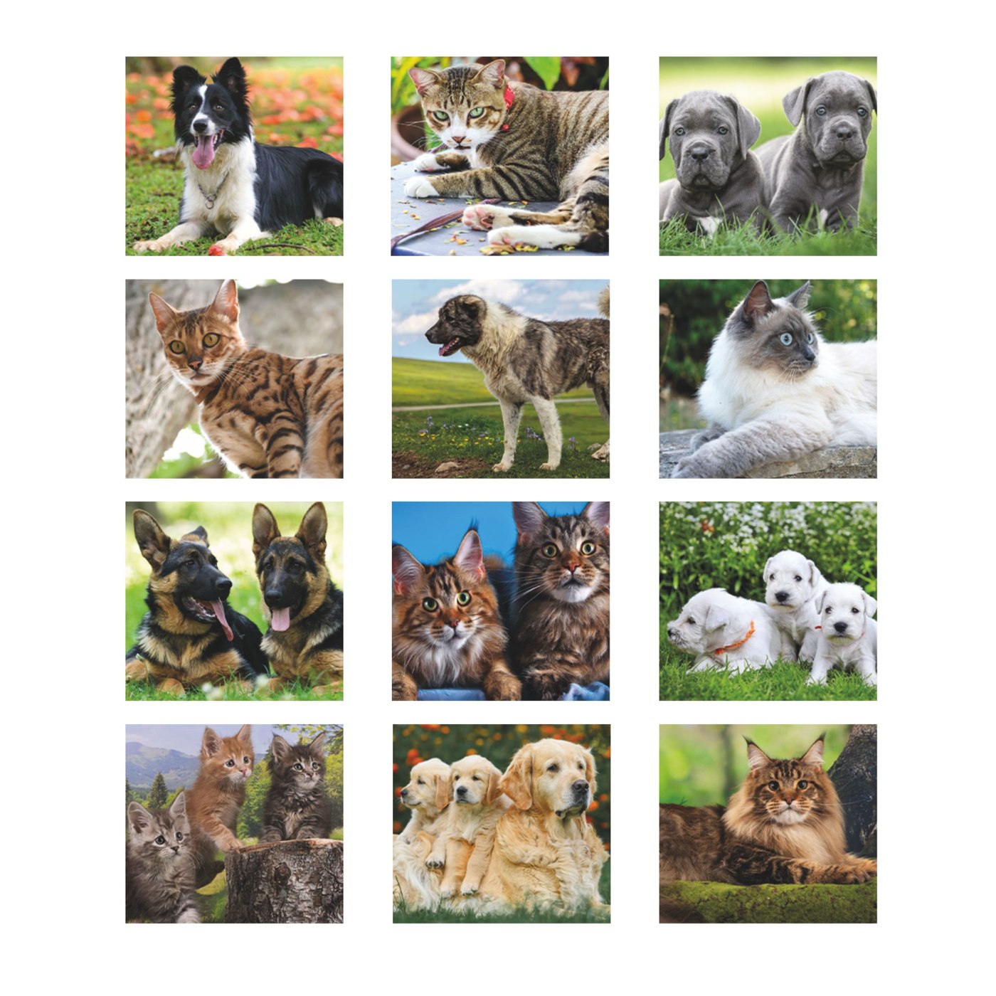Cani e Gatti – Calendario Illustrato Silhouette cm 14×47 CS0004 Cani e Gatti - Calendario Illustrato Silhouette cm 14x47 CS0004