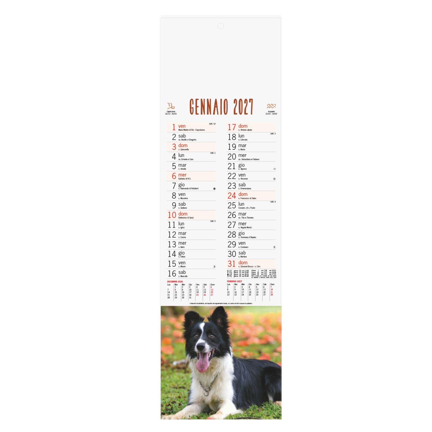 Cani e Gatti – Calendario Illustrato Silhouette cm 14×47 CS0004 Cani e Gatti - Calendario Illustrato Silhouette cm 14x47 CS0004