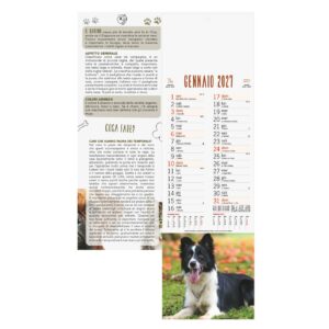 Cani e Gatti – Calendario Illustrato Silhouette cm 14×47 CS0004 Cani e Gatti - Calendario Illustrato Silhouette cm 14x47 CS0004