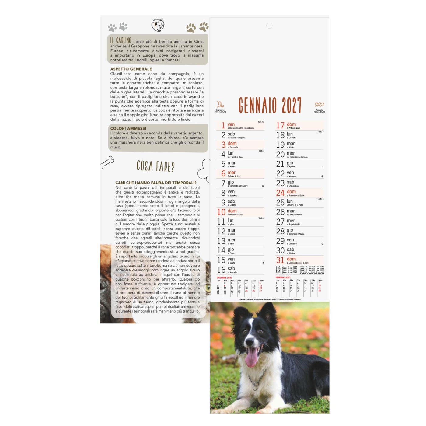 Cani e Gatti – Calendario Illustrato Silhouette cm 14×47 CS0004 Cani e Gatti - Calendario Illustrato Silhouette cm 14x47 CS0004